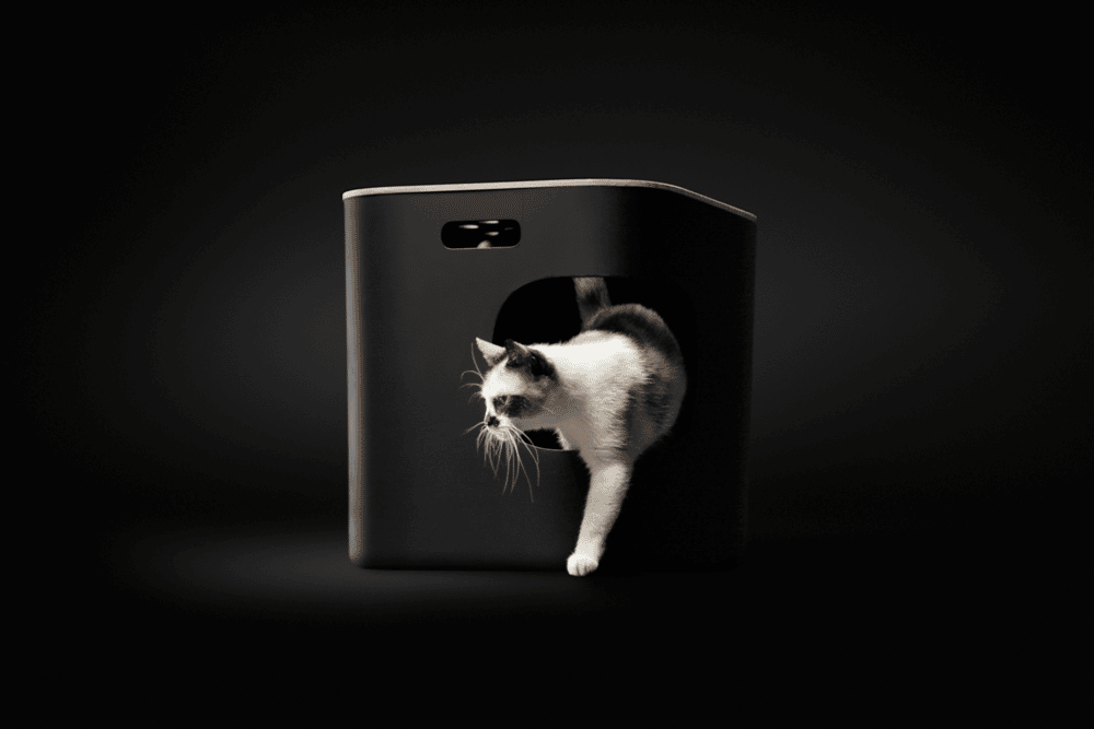 Pet Product Manufacturing: Trends, Regulations, and Best Practices